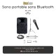 Location sono portable pour musique et discours 250w