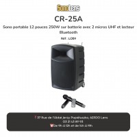 LOCATION Sono portable 250w + 2 micro HF.