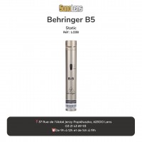 Location Micro Behringer B5